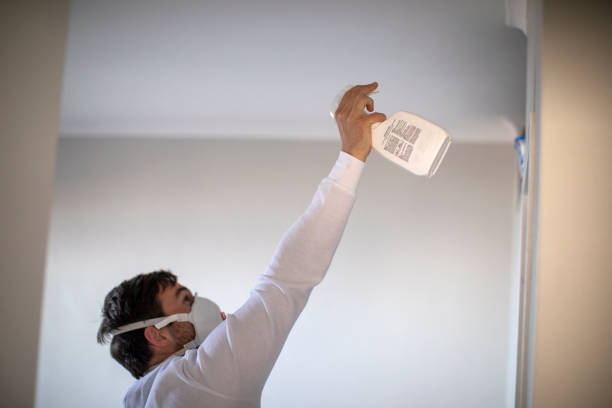 Professional Mold Removal in Lancaster, WI